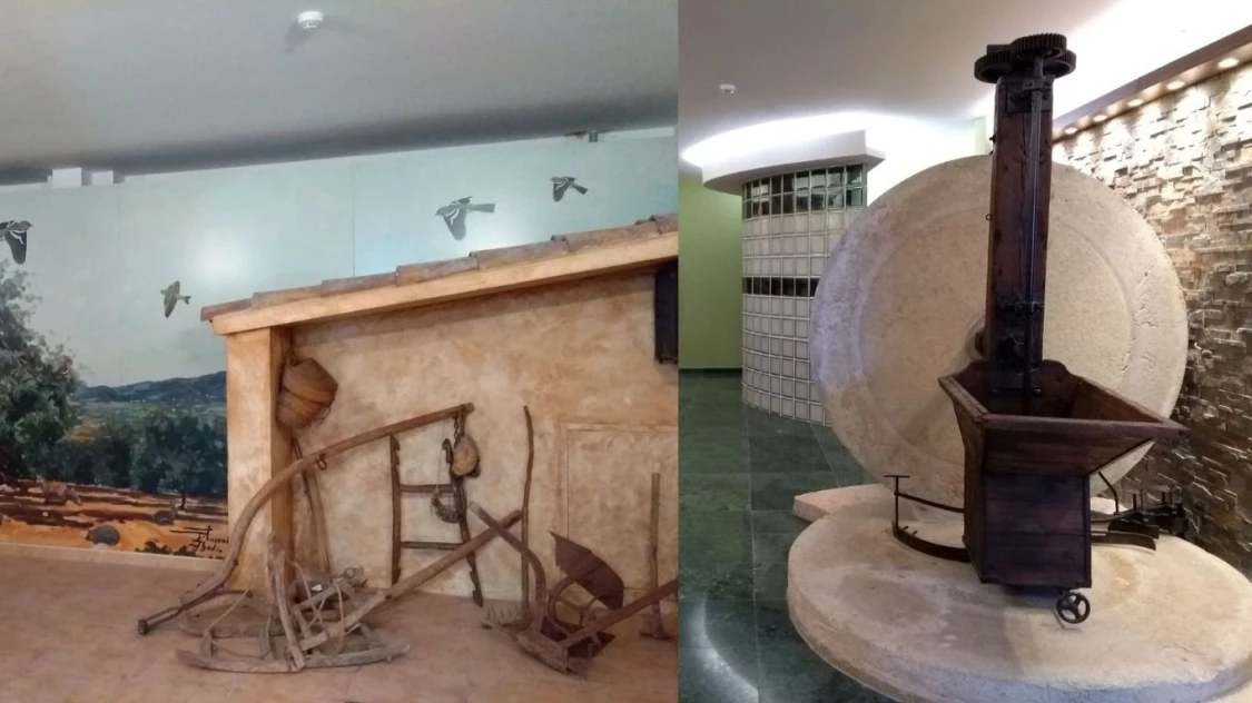 Visita guiada a la Casa de l'Olivera